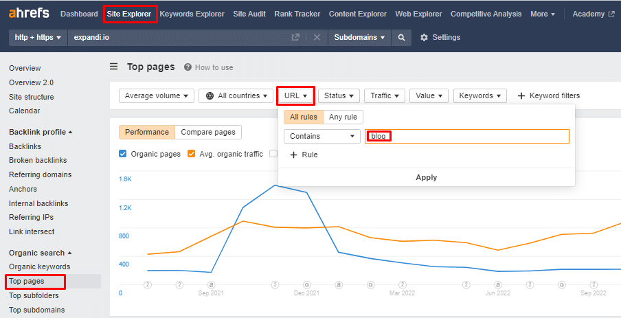 Ahrefs top pages filtering