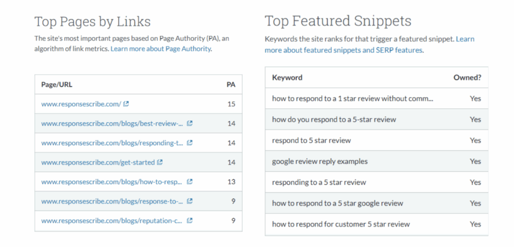 results on domain authority for ResponseScribe after 6 months